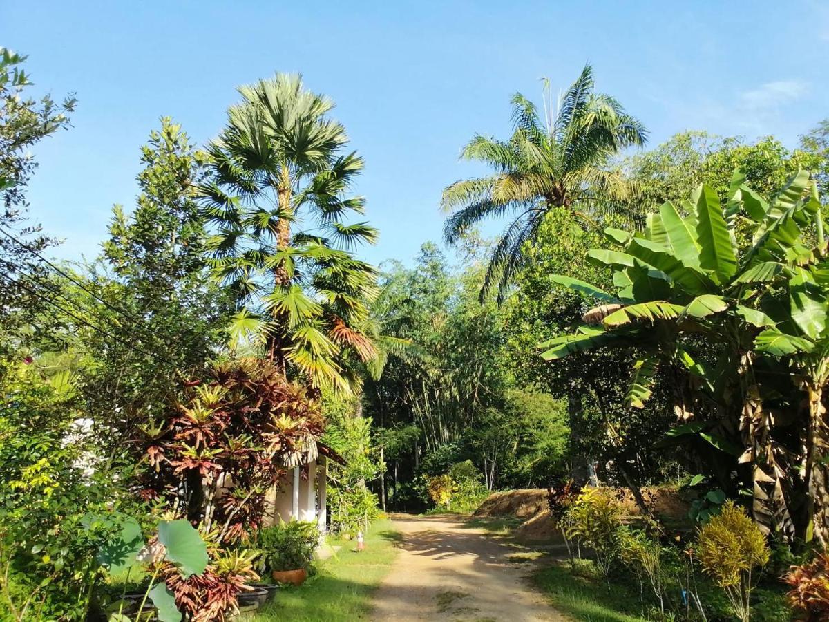 Suan Bang Bon Guest House 필라이 프라야 외부 사진
