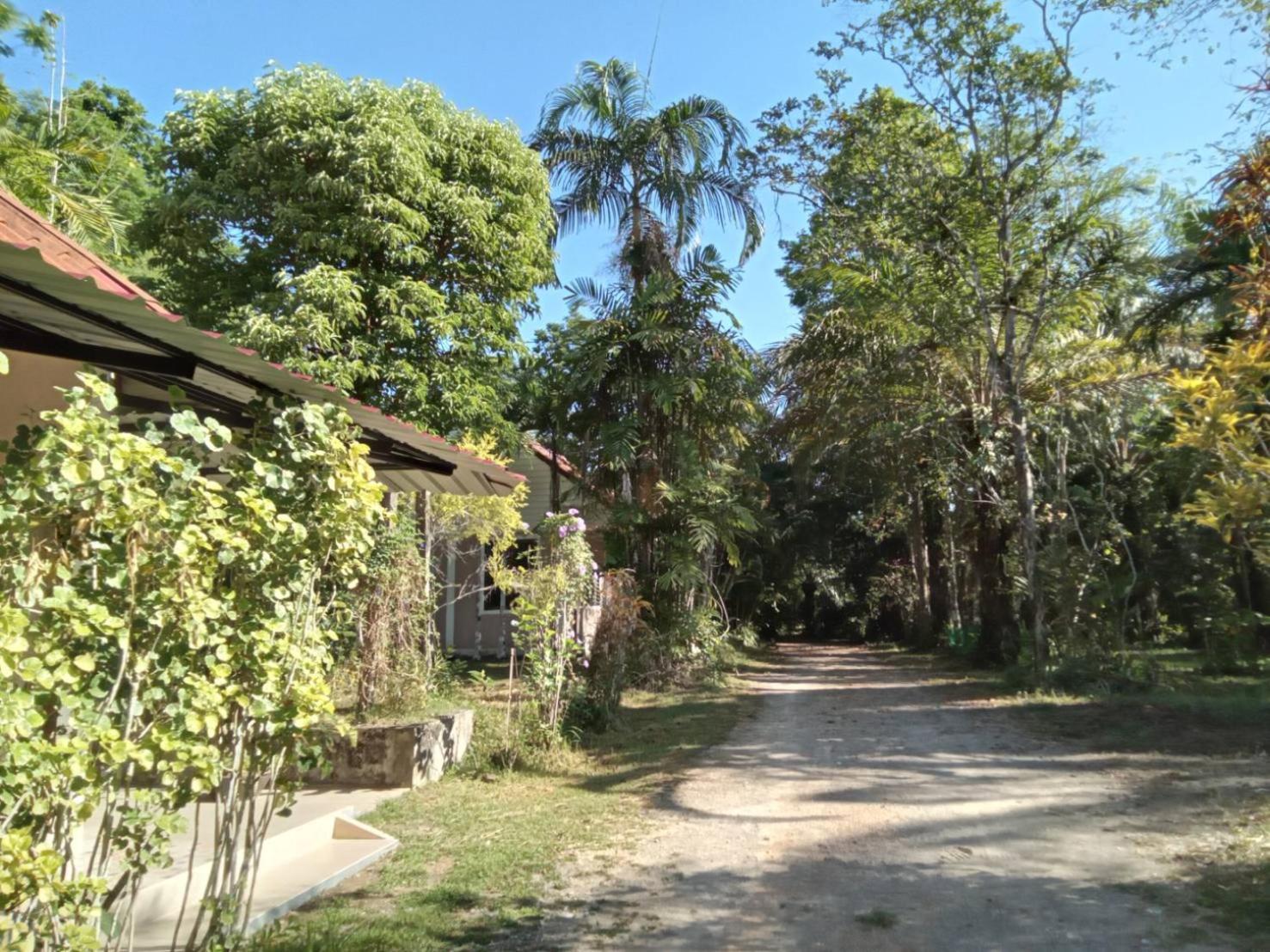 Suan Bang Bon Guest House 필라이 프라야 외부 사진